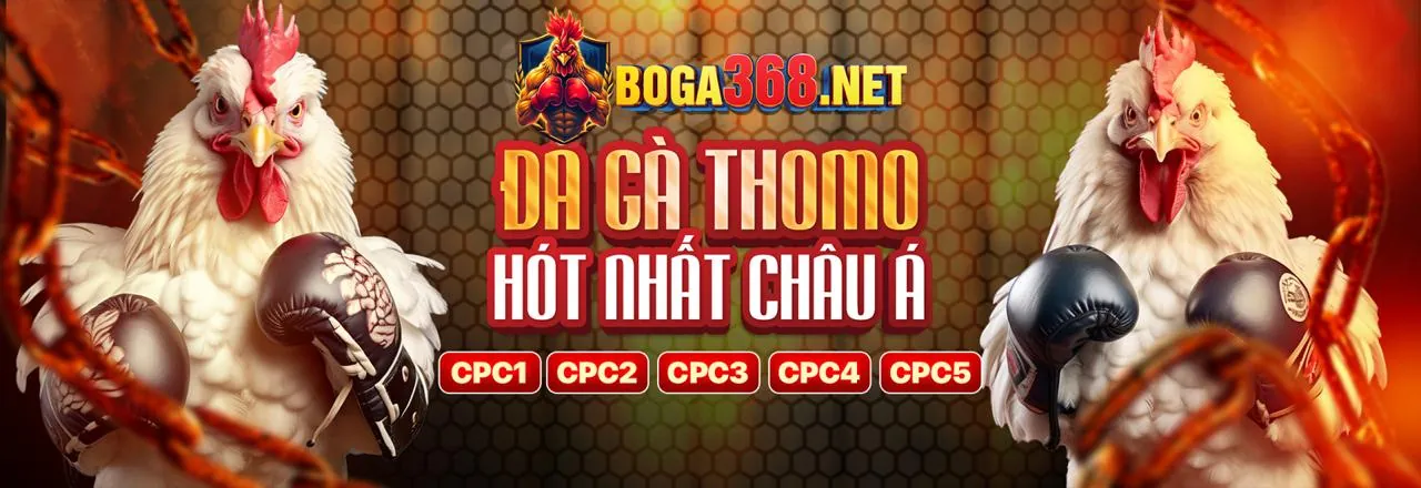 Đá Gà Trực Tiếp 123win 91